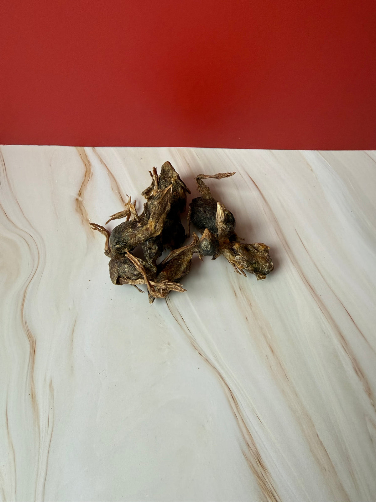 Freeze dried whole quail 20g