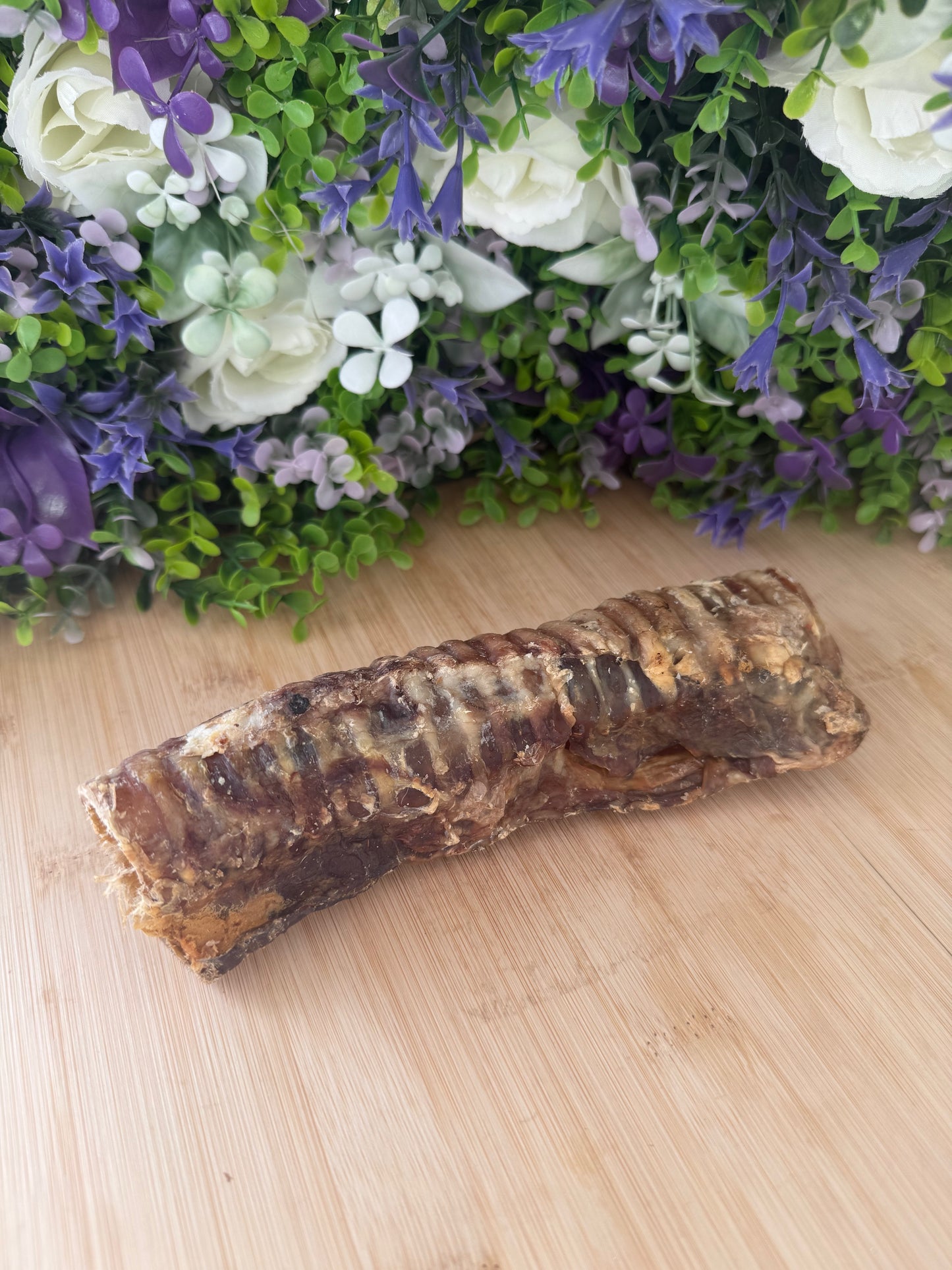 Buffalo trachea approx 24cm