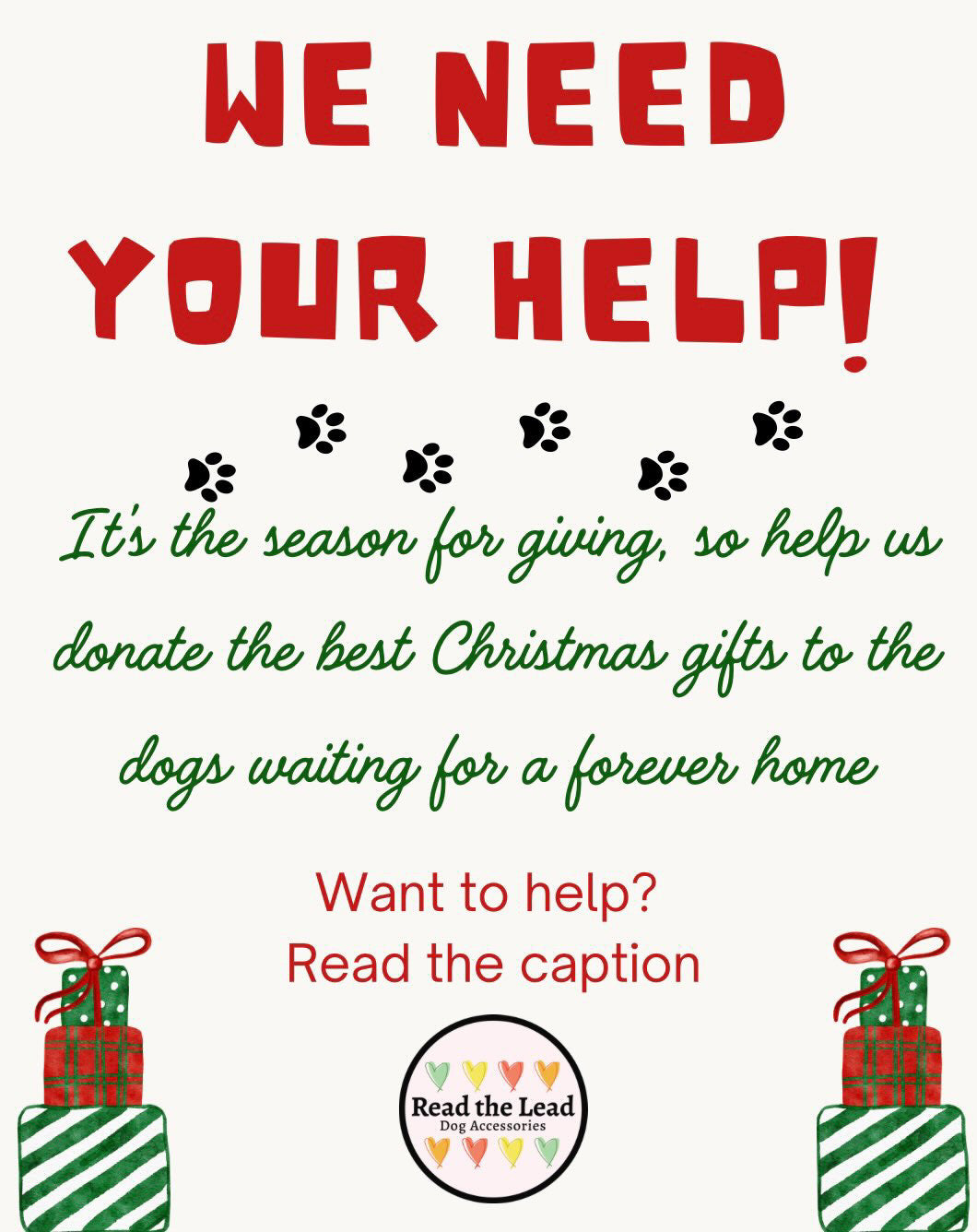 Read the lead charity support