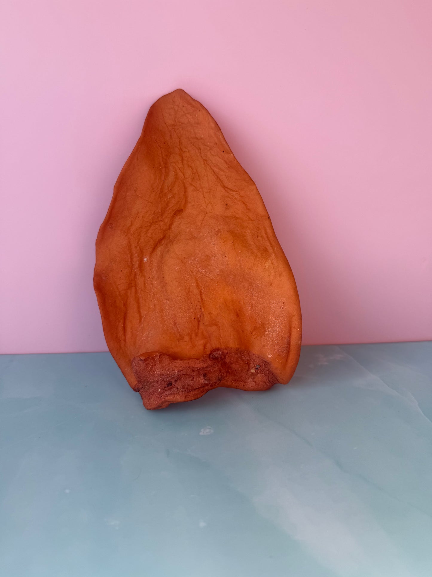 L smoked bulls ear