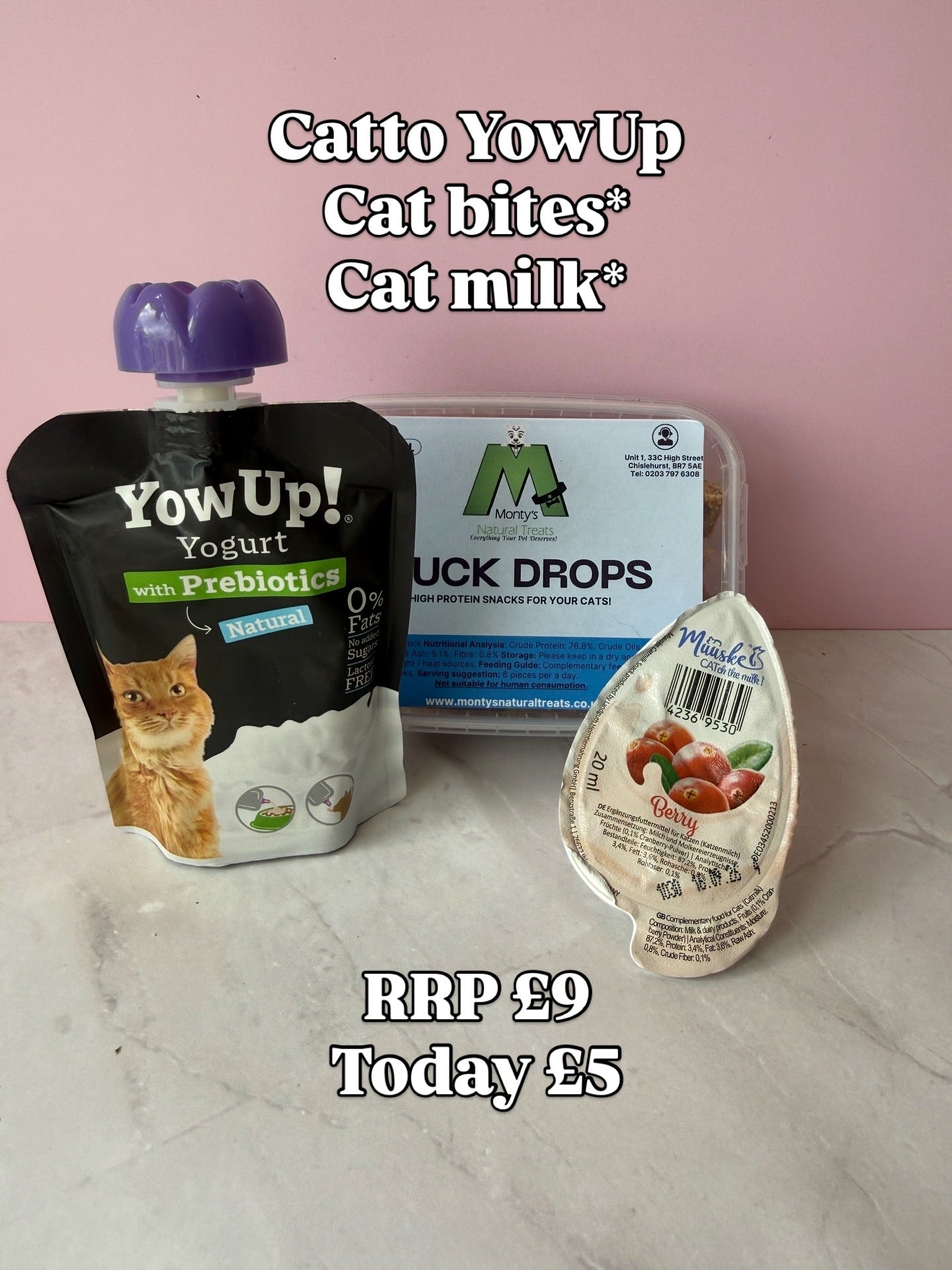 Catto bundle