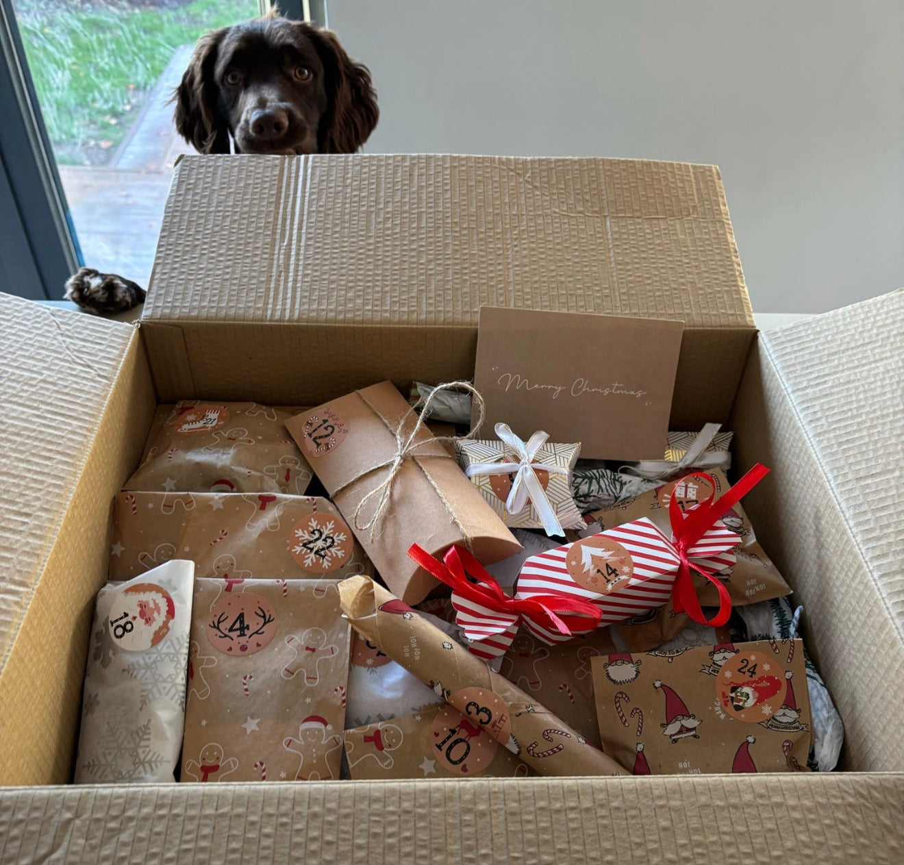 Presale Christmas Advent