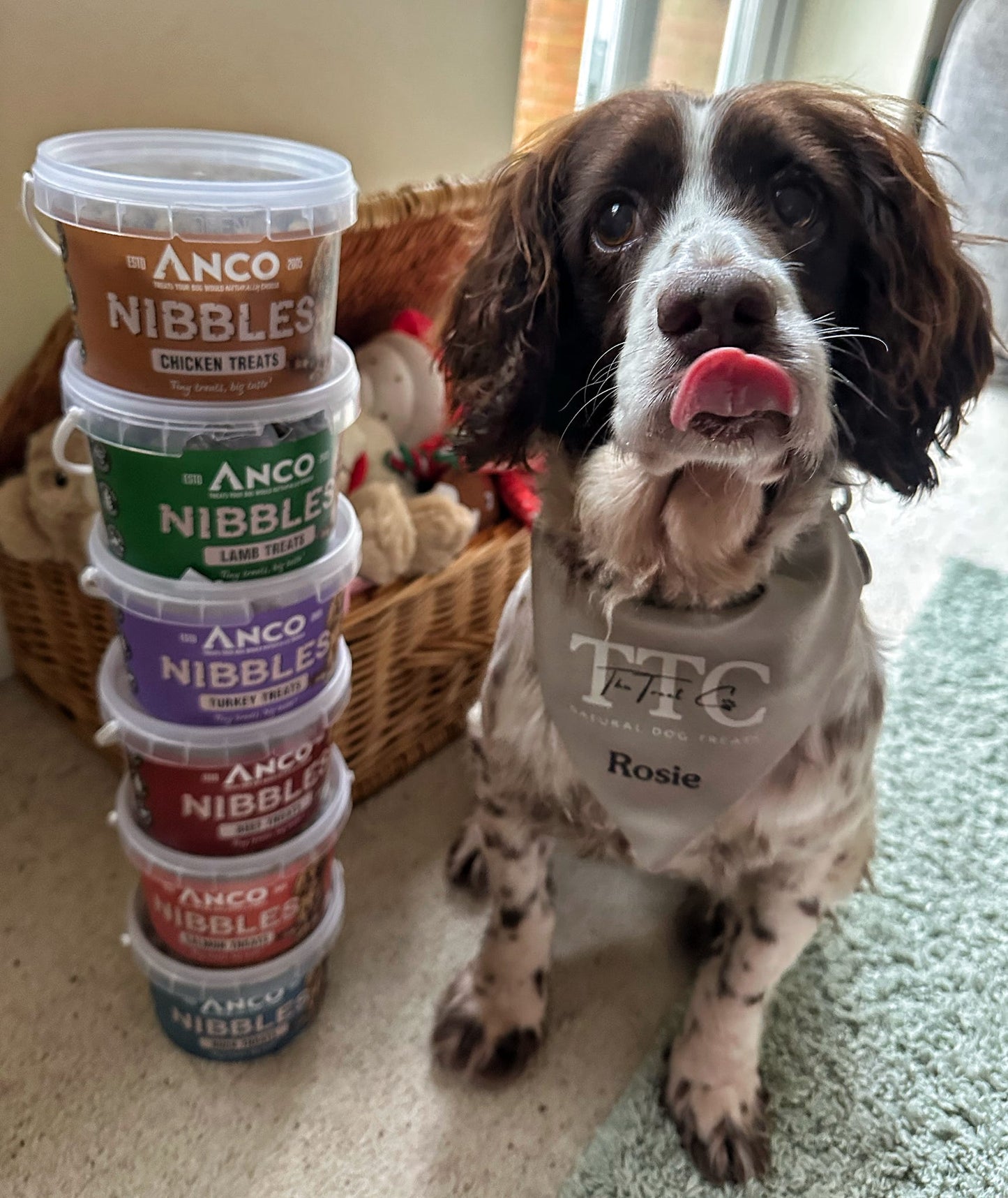 Anco Nibbles 300g pots