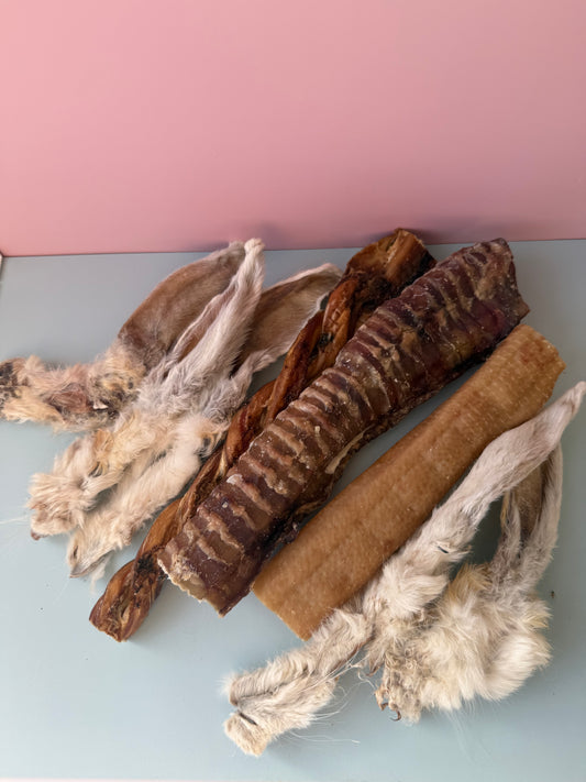 Long chews + rabbits ears