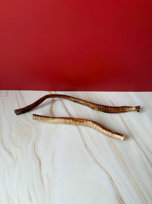 Air Dried Goose Trachea