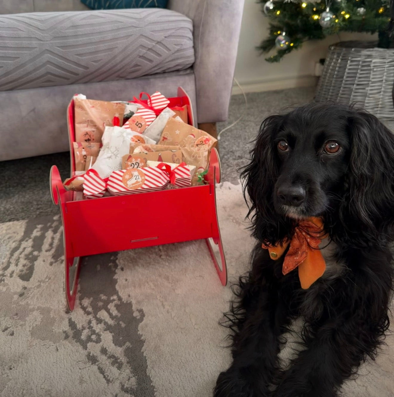 Presale Christmas Advent