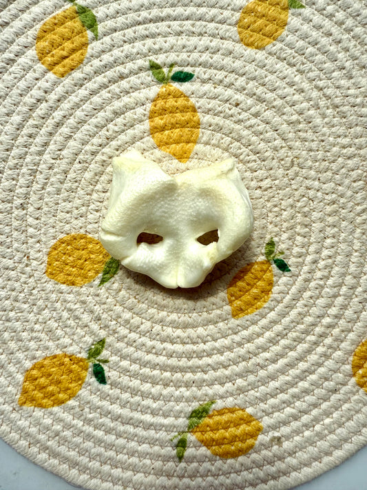 Puffed pig snout