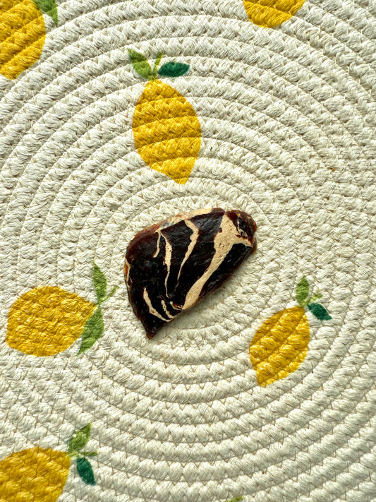 Beef medallion