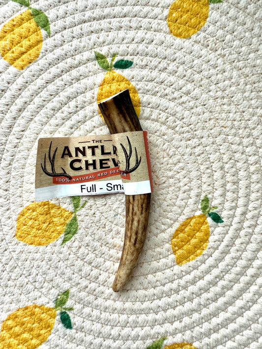Deer antler - S