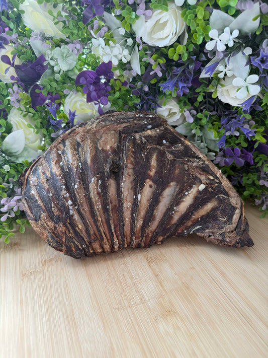 Roe rib rack