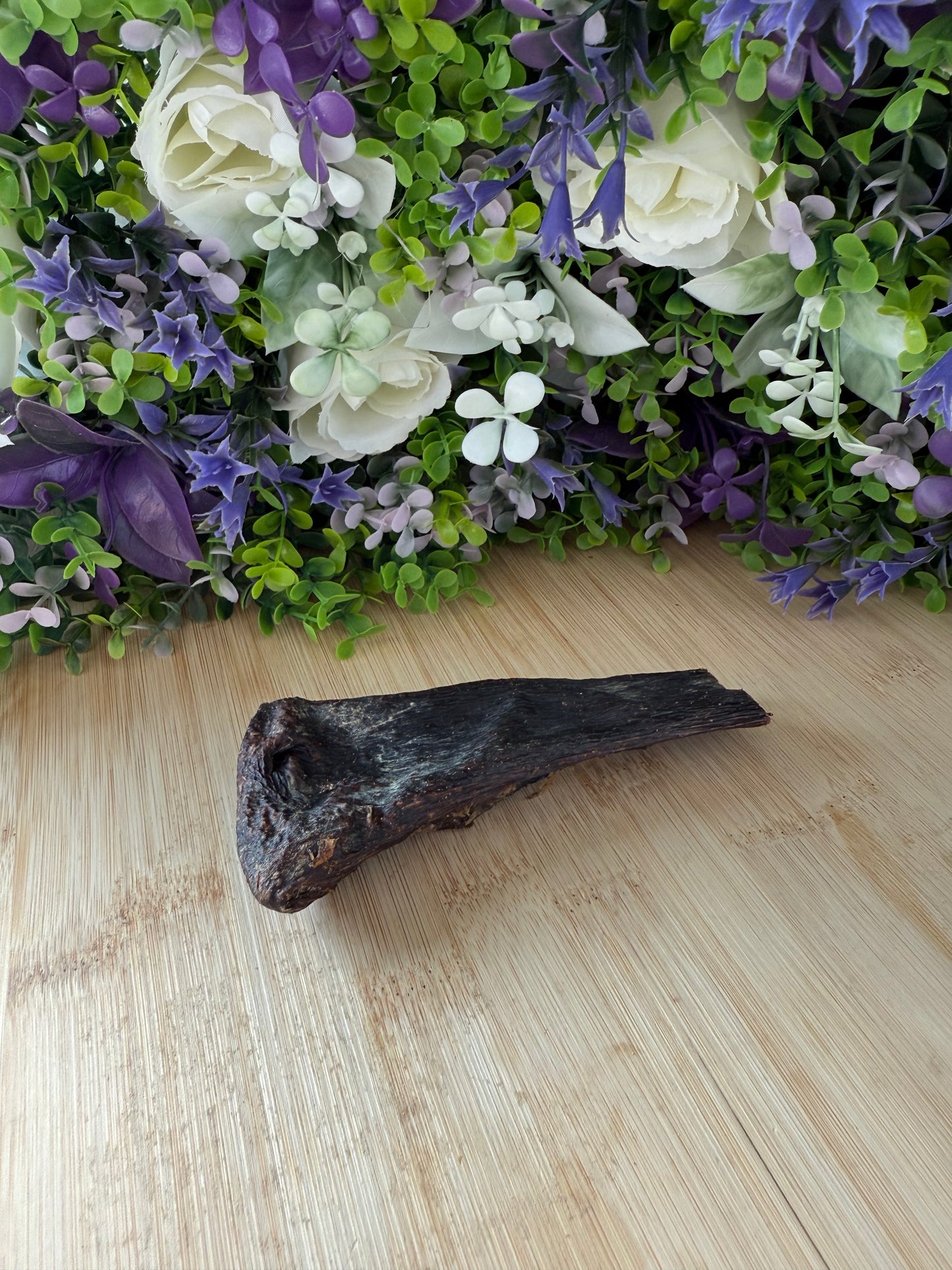 Horse spleen