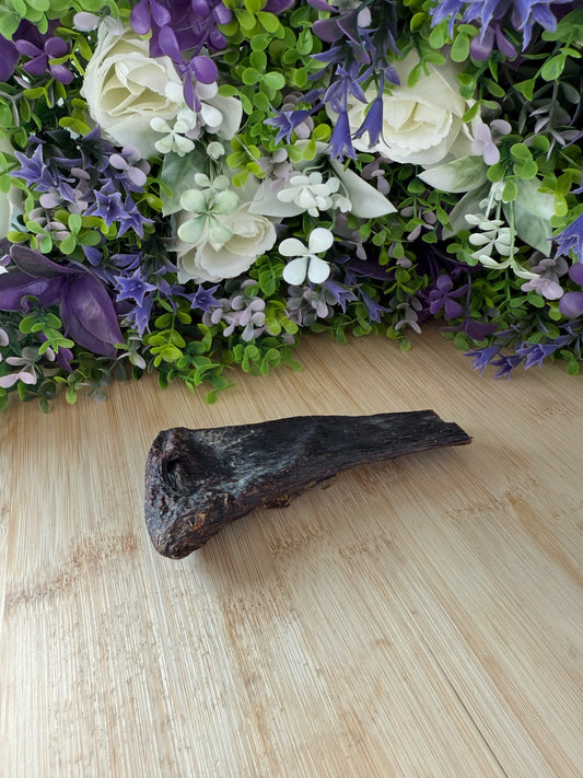 Horse spleen